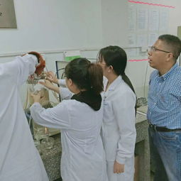 我校食品與生物工程系生物工程技術開發綜合生產實訓圓滿完成